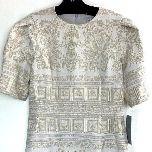 Teri Jon Rickie Freeman Midi Dress 4 Metallic Embroidered Puff Sleeve Event Gala